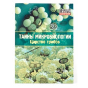 Набор "Тайны микробиологии. Царство грибов" (Набор для проведения экспериментов по микробиологии)