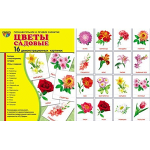 Демонстрационные карточки "Цветы садовые" (размер большой,16 штук)