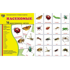 Демонстрационные карточки "Насекомые" (размер большой,16 штук)