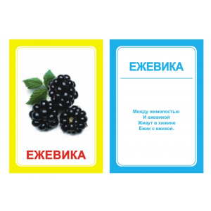 Логопедические картинки для автоматизации звука "Ж" (комплект 30 шт)